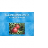 Sa observam fructele de gradina si padure (Set planse)