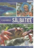 Caraibele salbatice / Wild Caribbean, Partea A (DVD Video)