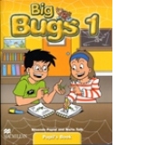 Big Bugs 1 Pupil s Book