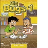 Big Bugs 1 Story Cards