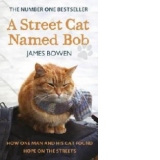 A Street Cat Named Bob