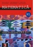 Matematica M1. Manual pentru clasa a XII-a