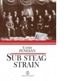 Sub steag strain. Comunistii si Partidul Comunist din Romania in arhiva Kominternului (1919-1924)