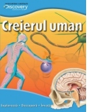 Creierul uman