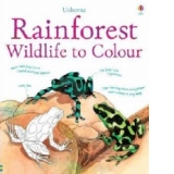 Rainforest Wildlife To Colour