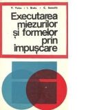 Executarea miezurilor si formelor prin impuscare