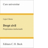 Drept civil. Proprietatea intelectuala