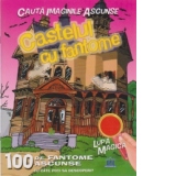 Cauta imaginile ascunse - CASTELUL CU FANTOME + Lupa magica