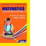 Matematica. Exercitii si probleme. Clasa a VII-a, semestrul II