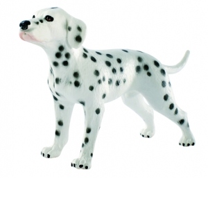 Dalmatian "Bingo"