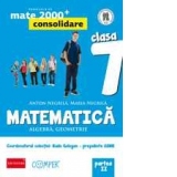 MATE 2000 CONSOLIDARE. MATEMATICA. ALGEBRA, GEOMETRIE. CLASA A VII-A. PARTEA II (ANUL SCOLAR 2013-2014)