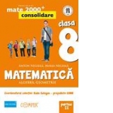 MATE 2000 CONSOLIDARE. MATEMATICA. ALGEBRA, GEOMETRIE. CLASA A VIII-A. PARTEA II (ANUL SCOLAR 2013-2014)