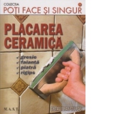 Placarea ceramica (gresie, faianta, piatra, rigips)