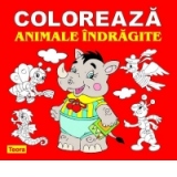 Coloreaza animale indragite