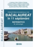Pregatirea examenului de BACALAUREAT 2014 in 11 de saptamani. Matematica. M_tehnologic (cod 1100)
