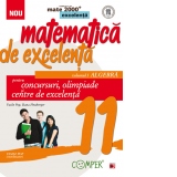 Matematica de excelenta. Pentru concursuri, olimpiade si centrele de excelenta. Clasa a XI-a. Volumul I - Algebra