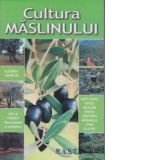 Cultura maslinului