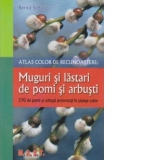 Muguri si lastari pentru pomi si arbusti - Atlas de recunoastere