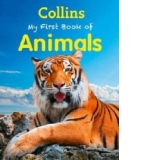 My First Book of Animals