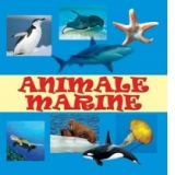 Minialbum Animale Marine