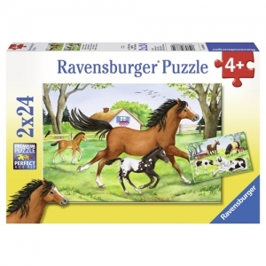 Puzzle Lumea Cailor, 2x24 piese