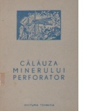 Calauza minerului perforator