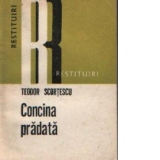 Concina pradata