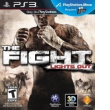 THE FIGHT LIGHTS OUT -MOVE- PS3