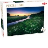 Puzzle 1000 piese Noapte de vara