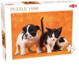 Puzzle 1000 piese Pui de animale