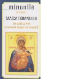 Minunile Icoanei Maica Domnului: Eu sunt cu voi si nimeni impotriva voastra