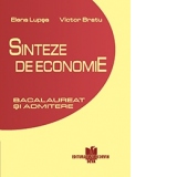 Sinteze de economie - pentru bacalaureat si admitere