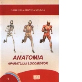 Anatomia aparatului locomotor