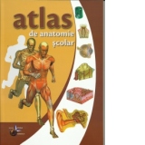 Atlas de anatomie scolar (editie necartonata)