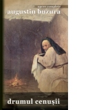 Drumul cenusii