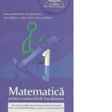 Matematica pentru examenul de bacalaureat - Filiera teoretica, profilul real, specializarea matematica-informatica. Filiera vocationala, profilul militar, specializarea matematica-informatica