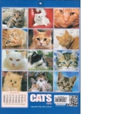 Calendar Cats 2015 20,5x29 cm, 8 file, capsat (KI021)