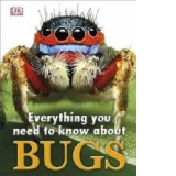 Everything You Need to Know About Bugs