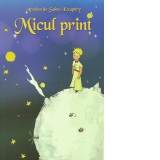 Micul Print