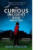 Curious Incident of the Dog in the Night-time