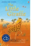 Little Giraffe