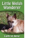 Little Welsh Wanderer