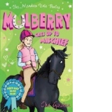 Meadow Vale Ponies: Mulberry Gets up to Mischief