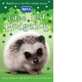 Little Lost Hedgehog