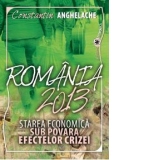 Romania 2013 - Starea economica sub povara efectelor crizei