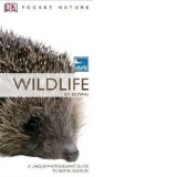 RSPB Pocket Nature Wildlife of Britain