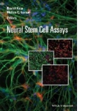 Neural Stem Cell Assays