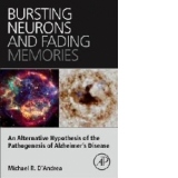 Bursting Neurons and Fading Memories