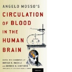 Angelo Mosso's Circulation of Blood in the Human Brain