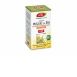 Muguri de pin cu miere si propolis R27 sirop